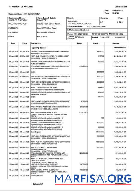 Realistic India CSB bank statement of account word example
